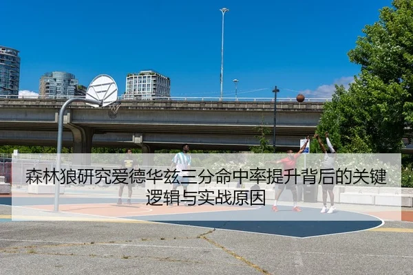森林狼研究爱德华兹三分命中率提升背后的关键逻辑与实战原因